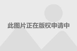  意甲老牌劲旅深陷降级区引发震荡  